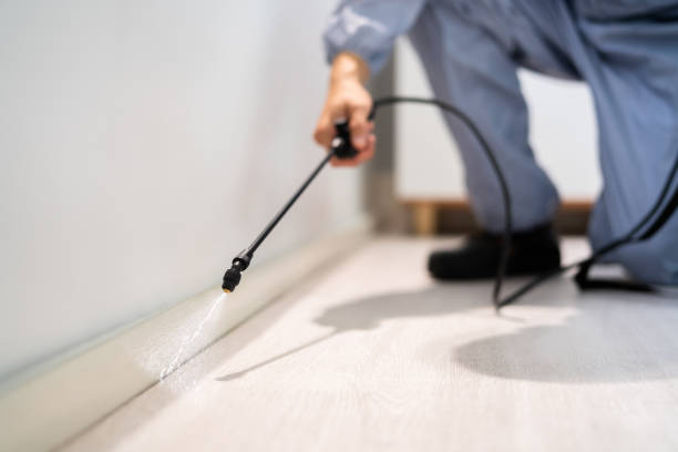 Licensed Pest Control service in West Samoset, FL - Show Me Pest Control
