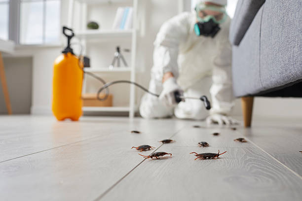 Commercial Kitchen Cockroach Control in West Samoset